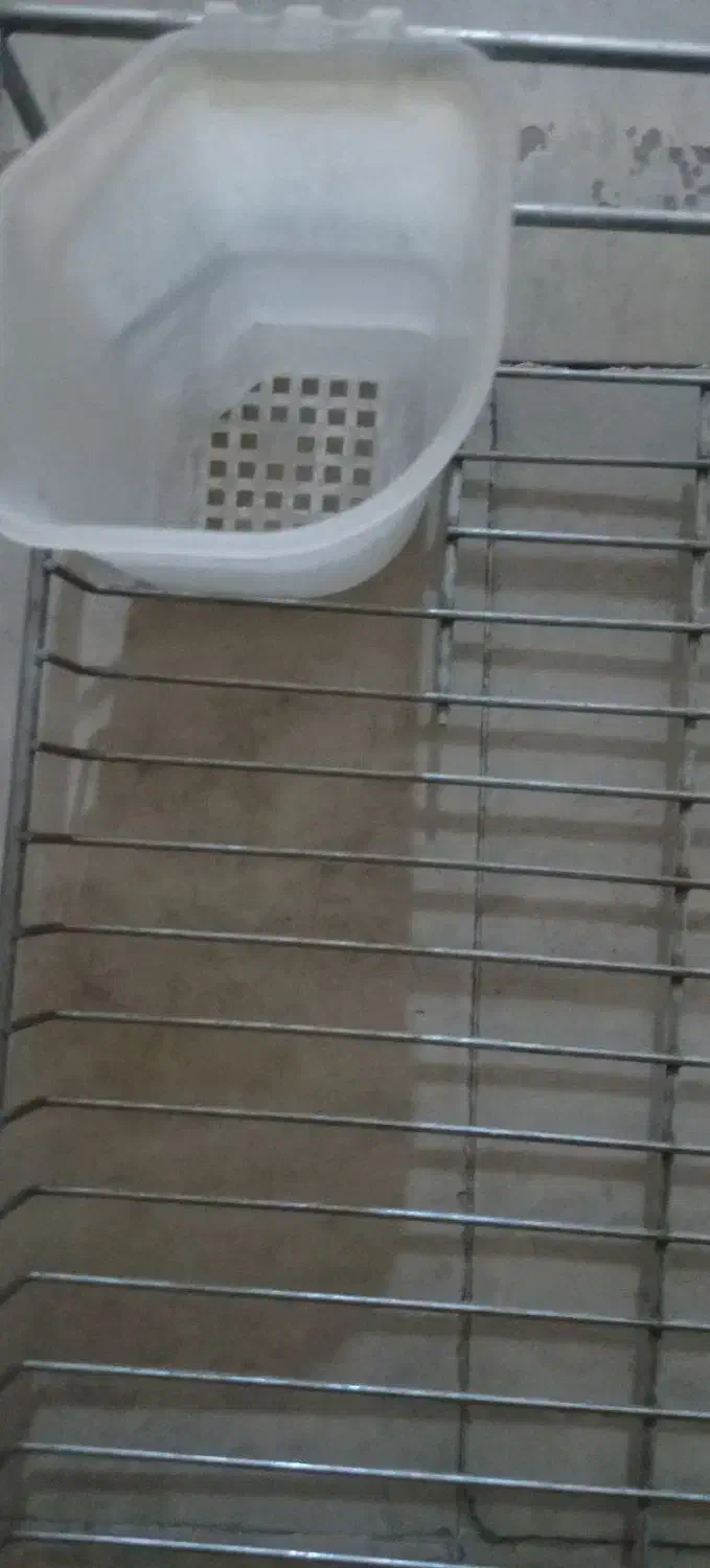 اب چکان|آبچکان و نظمدهنده ظروف|مشکیندشت, |دیوار