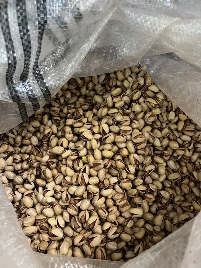 پستهی واقعی و تازه،مستقیم از تولیدکننده|خوردنی و آشامیدنی|یزد, |دیوار