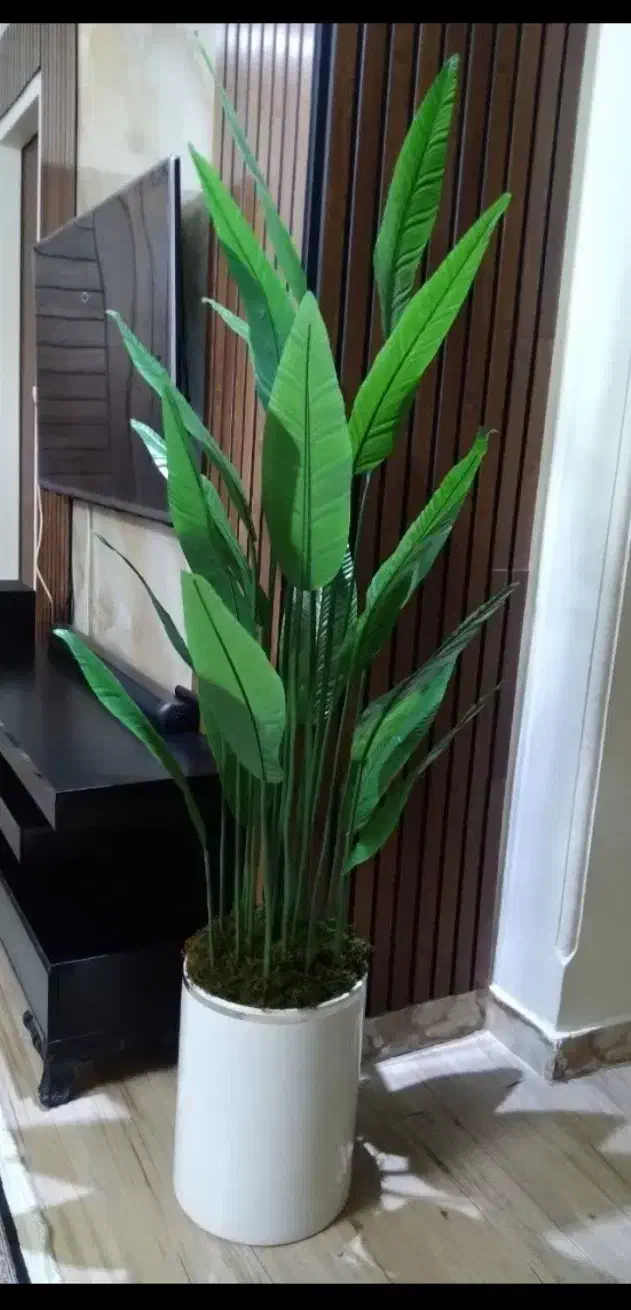 حراج تمام درختچه های وارداتی (درختچه مصنوعی خارجی)|گل مصنوعی|تهران, شهرک پاسداران|دیوار