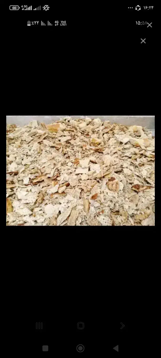 نان خشک|عمده‌فروشی|کنگاور, |دیوار