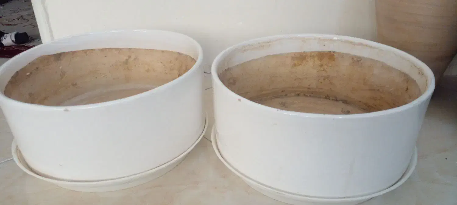 گلدان با زیری|گل و گیاه طبیعی|مشهد, انقلاب|دیوار