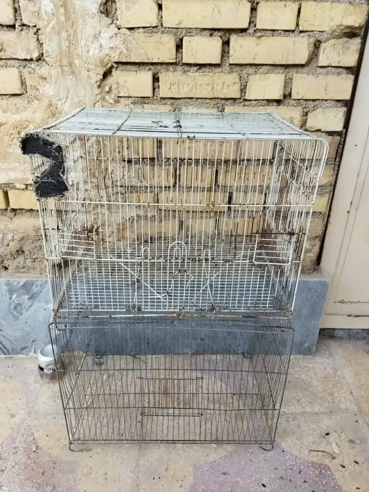 قفس.جفت کن کفتر و عروس هلندی|لوازم جانبی حیوانات|امیدیه, |دیوار