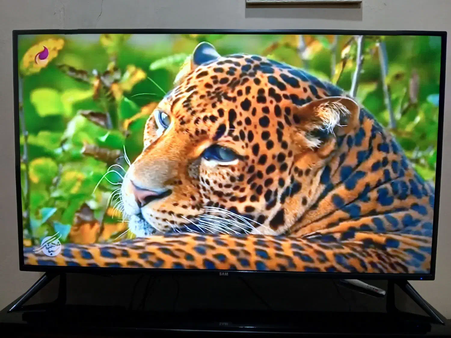 تلوزیون سام ۵۰ اینچ|تلویزیون و پروژکتور|تهران, اتابک|دیوار