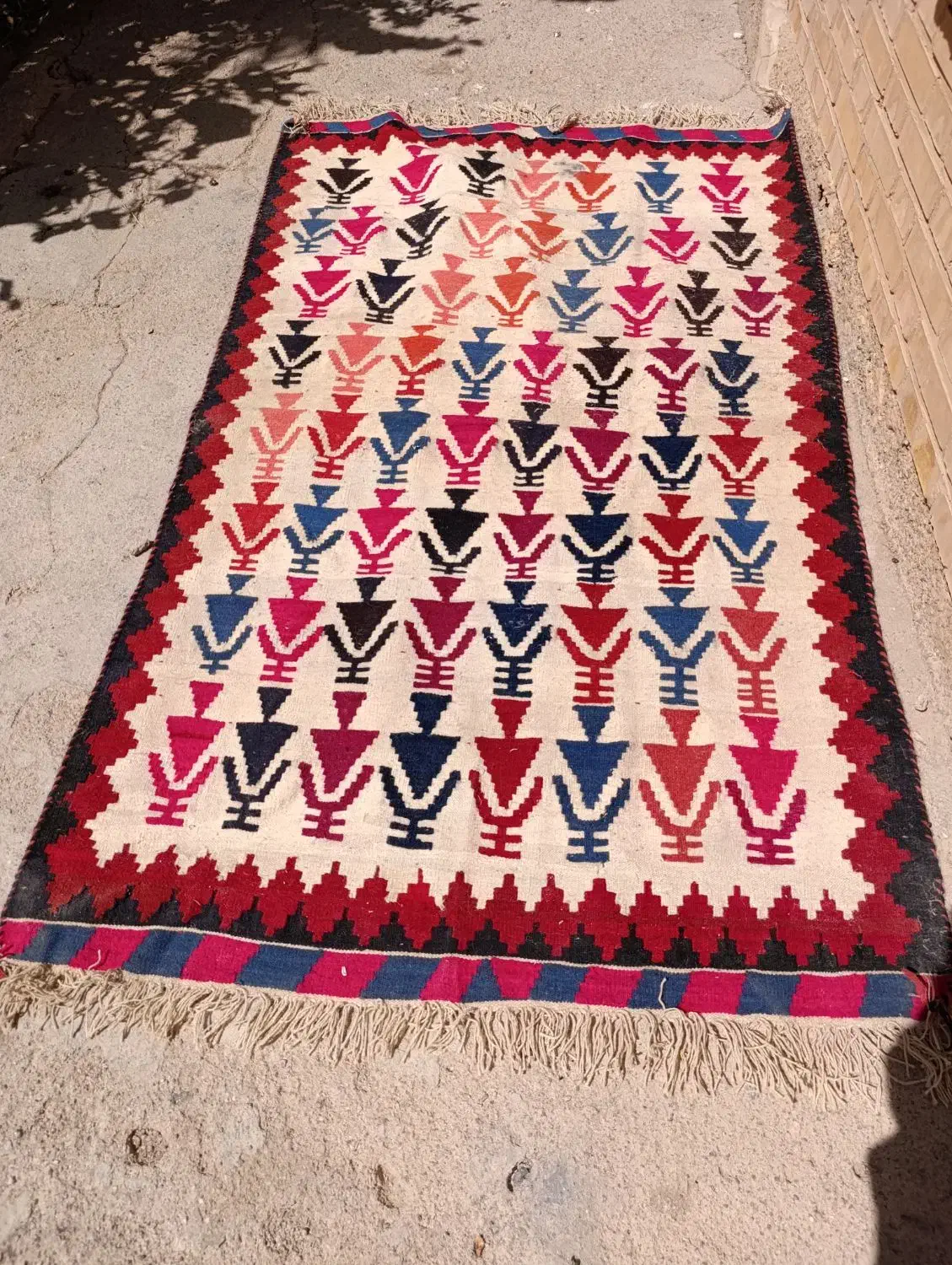 گلیم دست ریس دست بافت پشم در پشم نو|گلیم، جاجیم، گبه|شیراز, درکی|دیوار