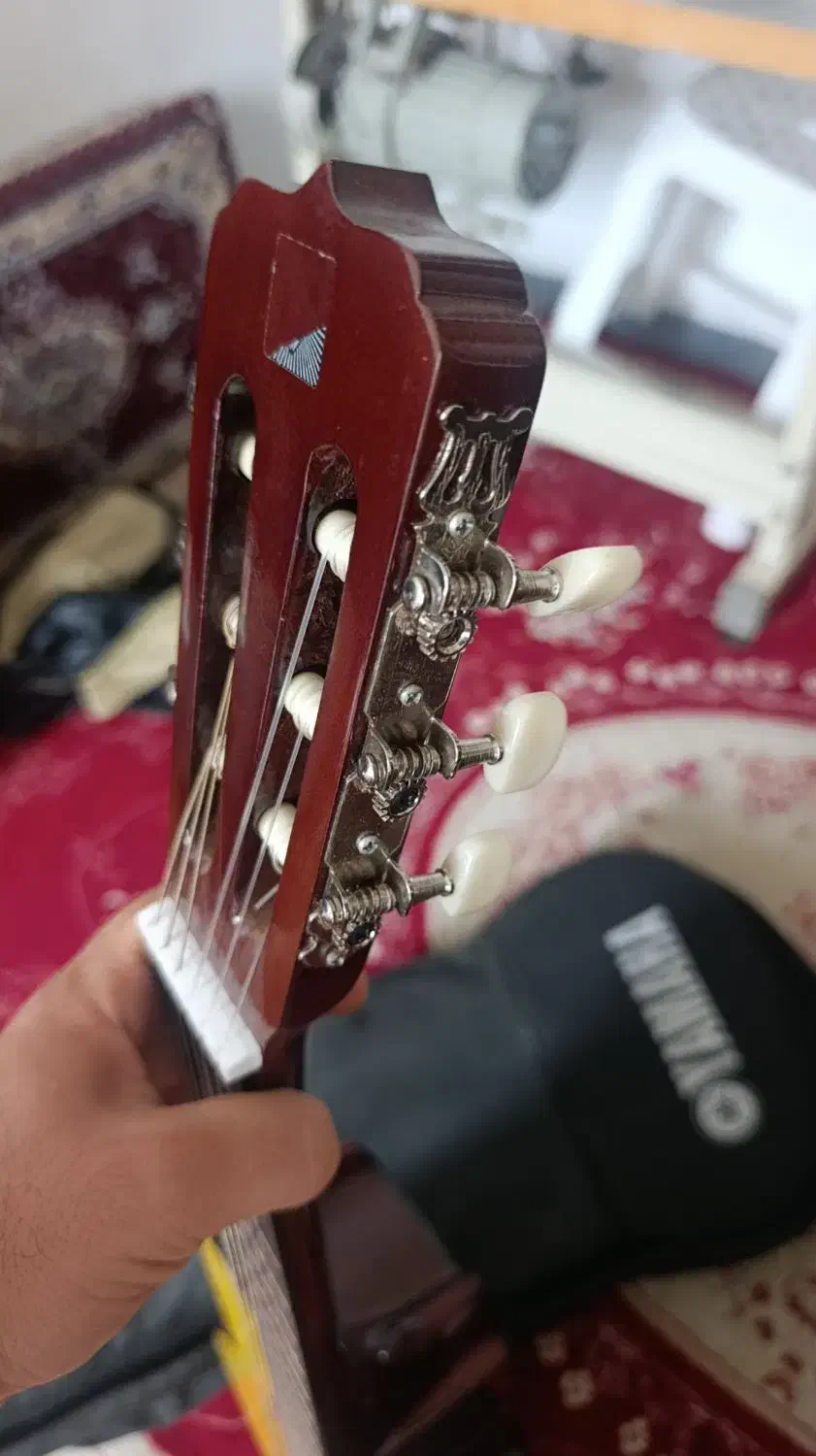 گیتار|گیتار، بیس، امپلیفایر|مریوان, |دیوار