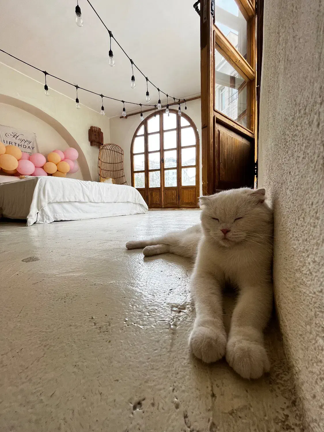 آتلیه کودک|خدمات پذیرایی، مراسم|تهران, اوین|دیوار