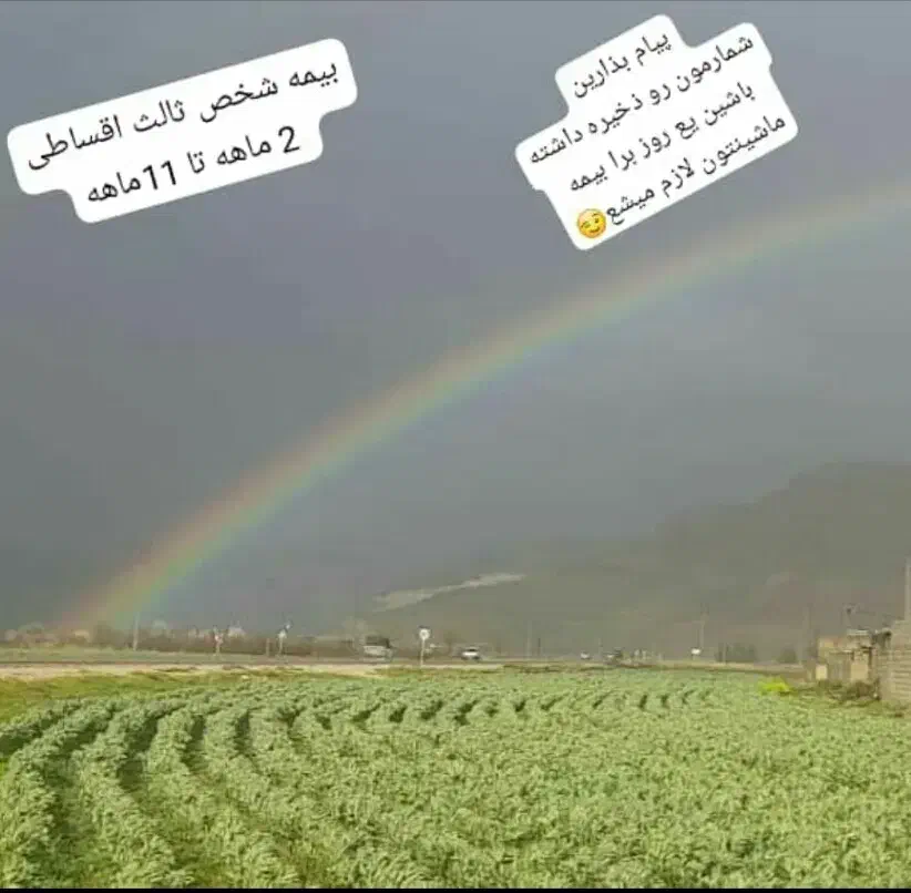 بیمه ثالث و بدنه اقساطی|خدمات مالی، حسابداری، بیمه|برازجان, |دیوار