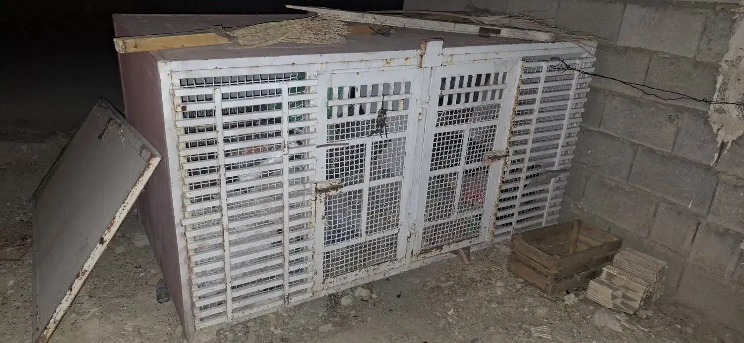 فروش قفس ضد گلوله|لوازم جانبی حیوانات|دوگنبدان, |دیوار