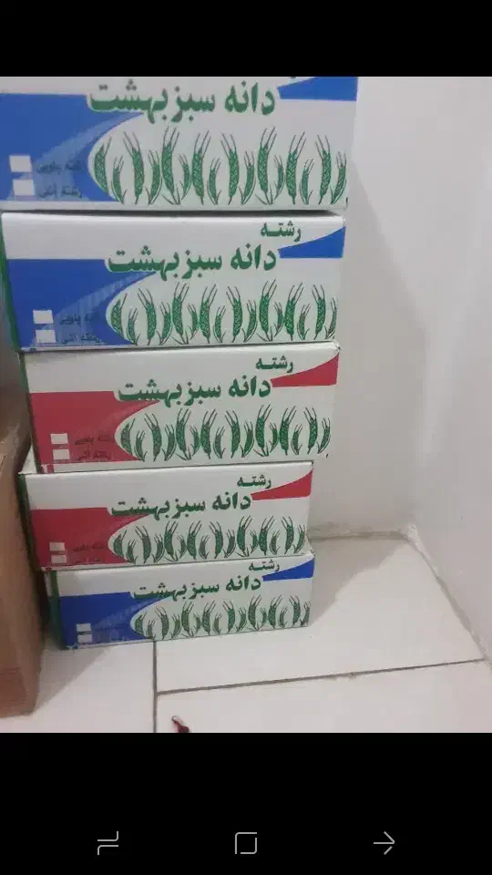 رشته اش وپلویی سنتی زنجان ارگانیک|خوردنی و آشامیدنی|مشکین‌دشت, |دیوار