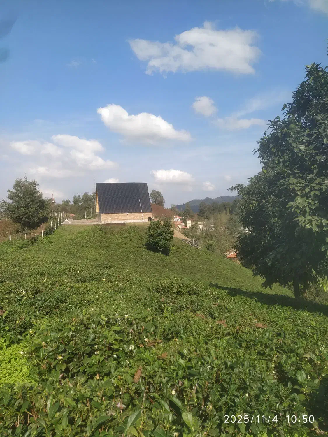 اجاره روزانه کلبه سویسی آسمان ویو بینظیر|اجارهٔ کوتاهمدت آپارتمان و سوئیت|لاهیجان, لیل|دیوار