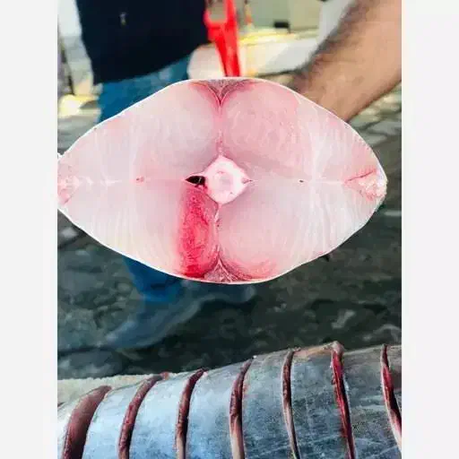 ماهی و میگو صید روز ارسال به همه نقاط|خوردنی و آشامیدنی|شیراز, ستارخان|دیوار