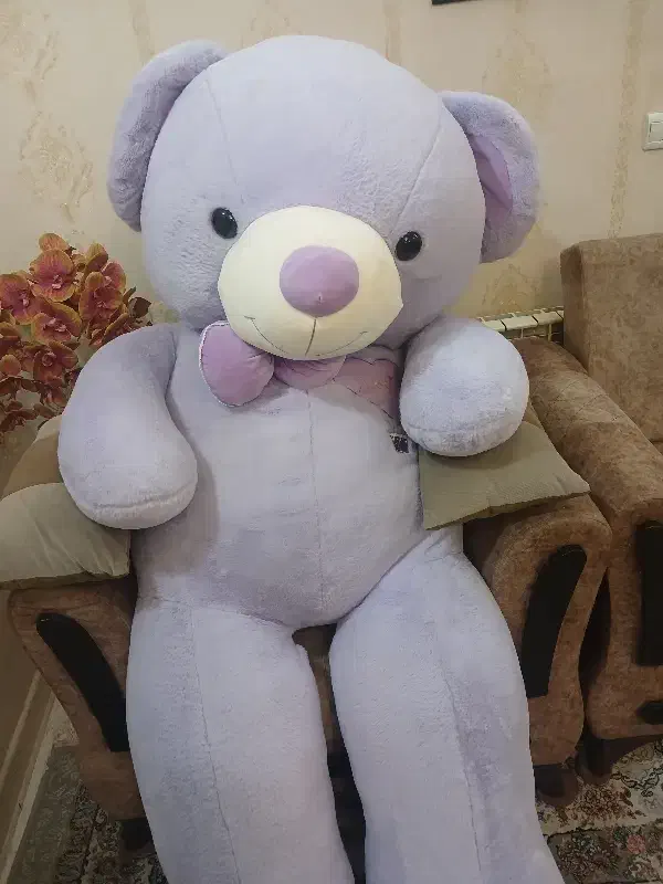 خرس شاسخین|اسباب‌‌بازی|گرگان, |دیوار