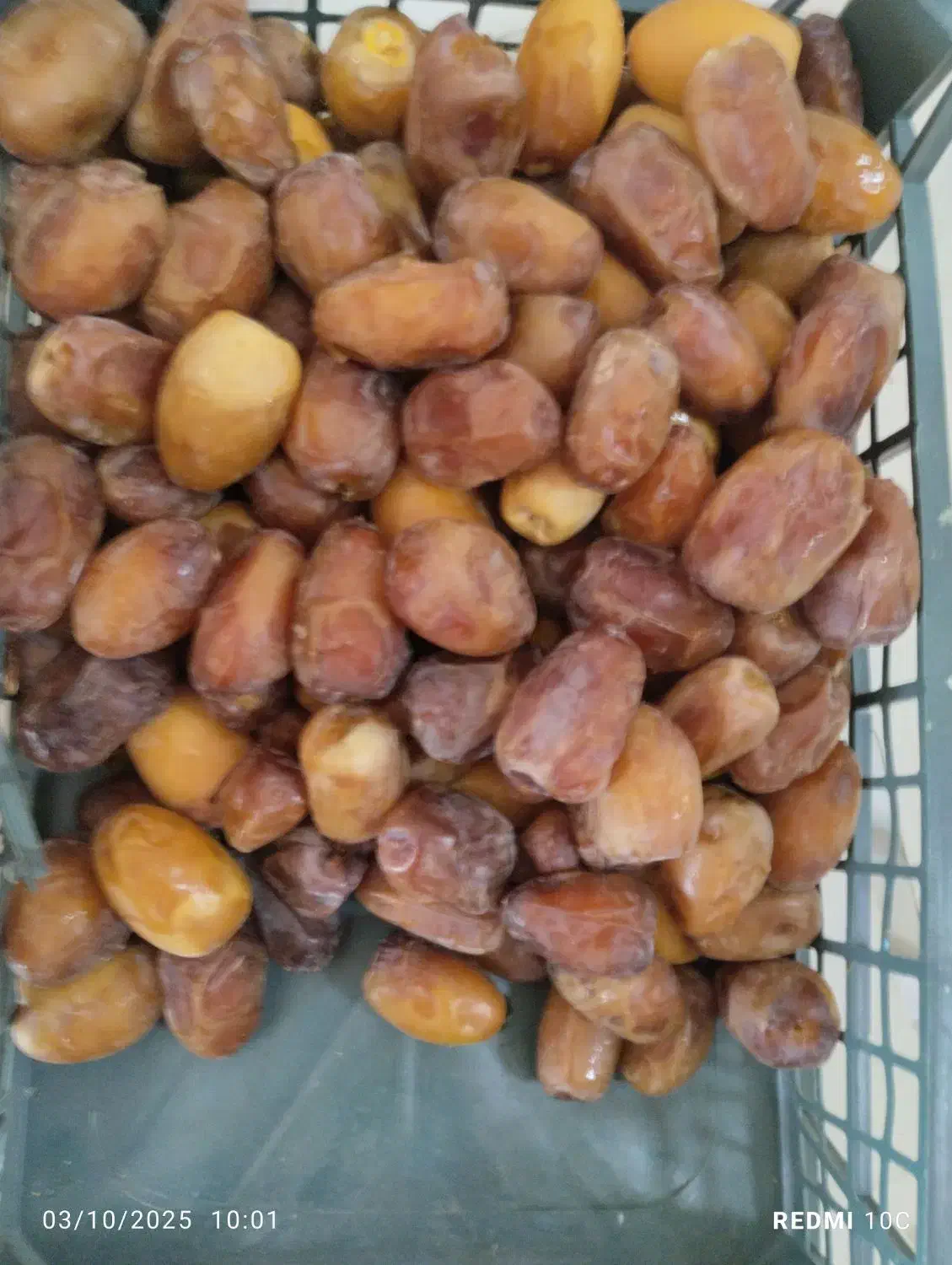 فروش خرما و زاهدی درجه یک استان بوشهر|خوردنی و آشامیدنی|اصفهان, بهارستان|دیوار