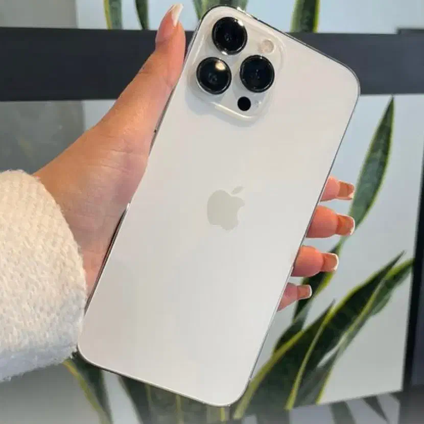 آیفون 13 پرومکس 256  گیگ ZAA رنگ گلد|موبایل|دوگنبدان, |دیوار