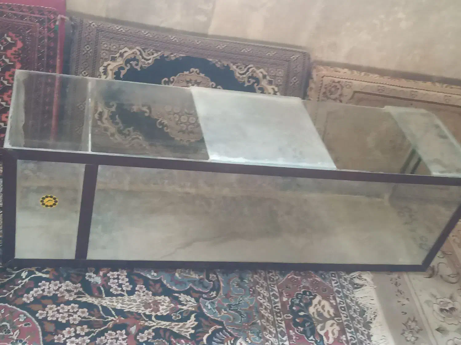 اکواریوم|ماهی|همدان, |دیوار