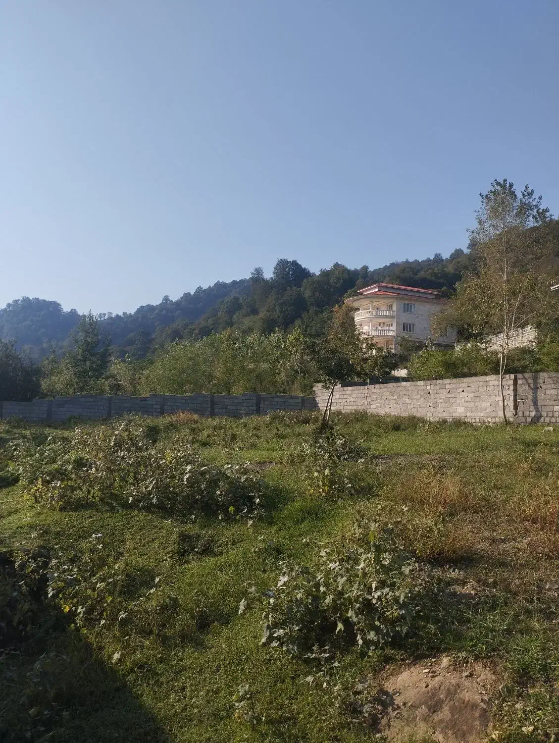 بام پیرهرات سندتک برگ با پروانه عروسک|فروش زمین و ملک کلنگی|اسالم, |دیوار