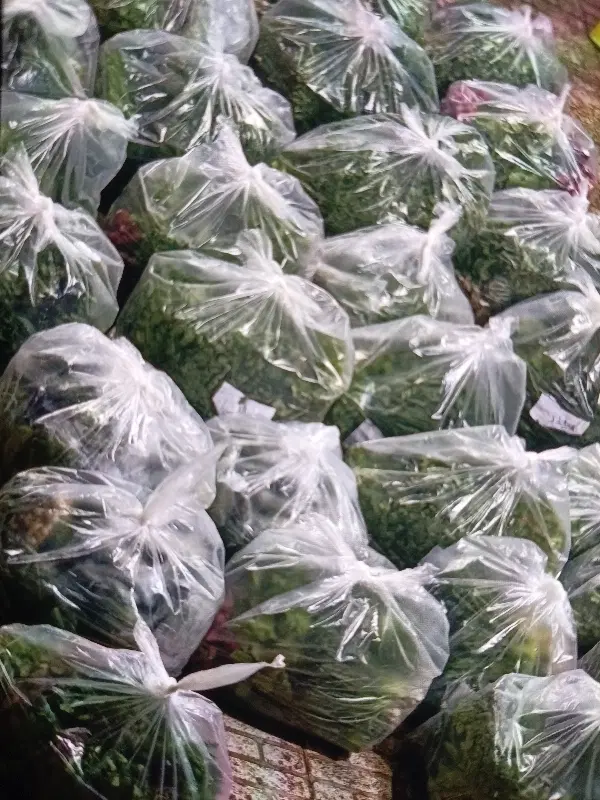 سبزی خوردن|خوردنی و آشامیدنی|تهران, شوش (باغ آذری)|دیوار