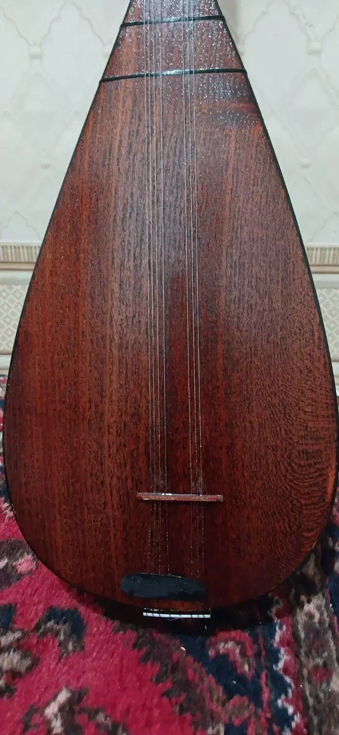 ساز ۹تارازربایجانی|سازهای سنتی|رباط‌کریم, نصیرشهر|دیوار