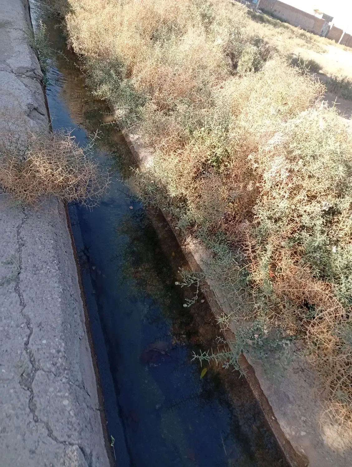 40 هکتار زمین سنددار  با 10ساعت آب  گردش هشت روزه|فروش زمین و ملک کلنگی|زاویه, |دیوار