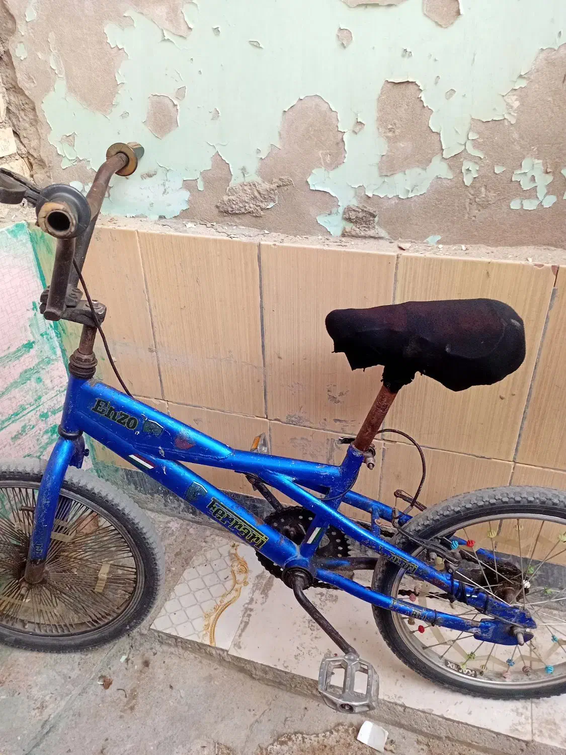 دوچرخه حرفه ای ۲۰|دوچرخه، اسکیت، اسکوتر|شادگان, |دیوار