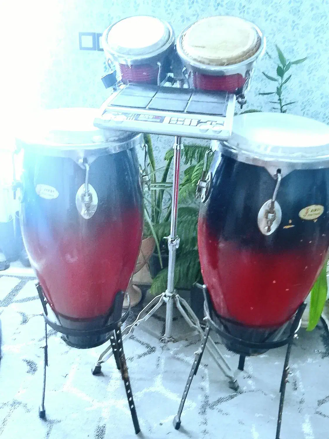 تومبا و پلکاش|درام و پرکاشن|بم, |دیوار