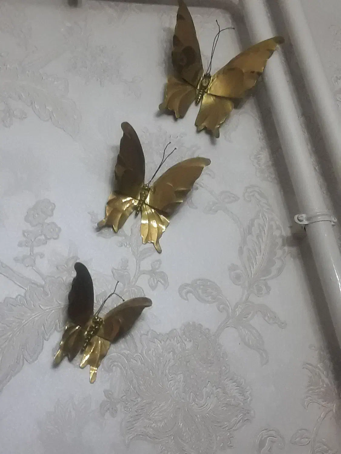 پروانه|صنایع دستی و سایر لوازم تزئینی|خاروانا, |دیوار