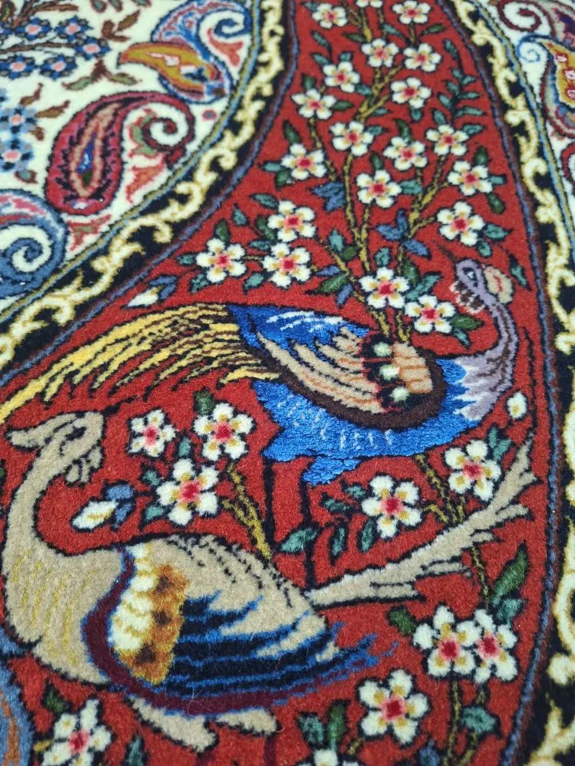 ذرع نیم ساروق|فرش|اراک, |دیوار
