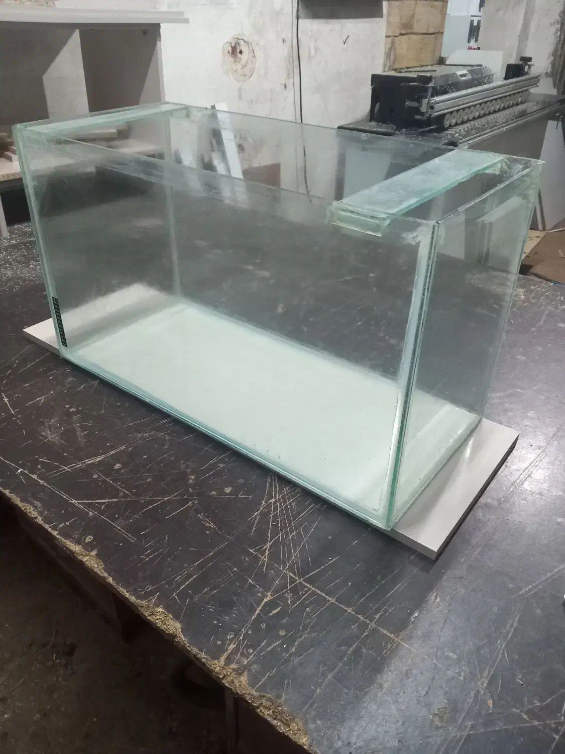 آکواریوم|ماهی|رشت, شهرک آیت الله منتظری|دیوار