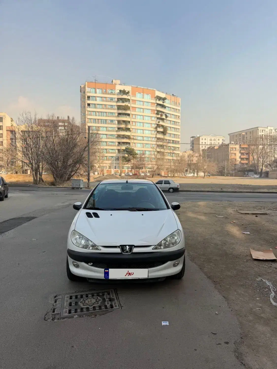 206 SD اتومات،V9 مدل 89|خودرو سواری و وانت|تهران, پاسداران|دیوار