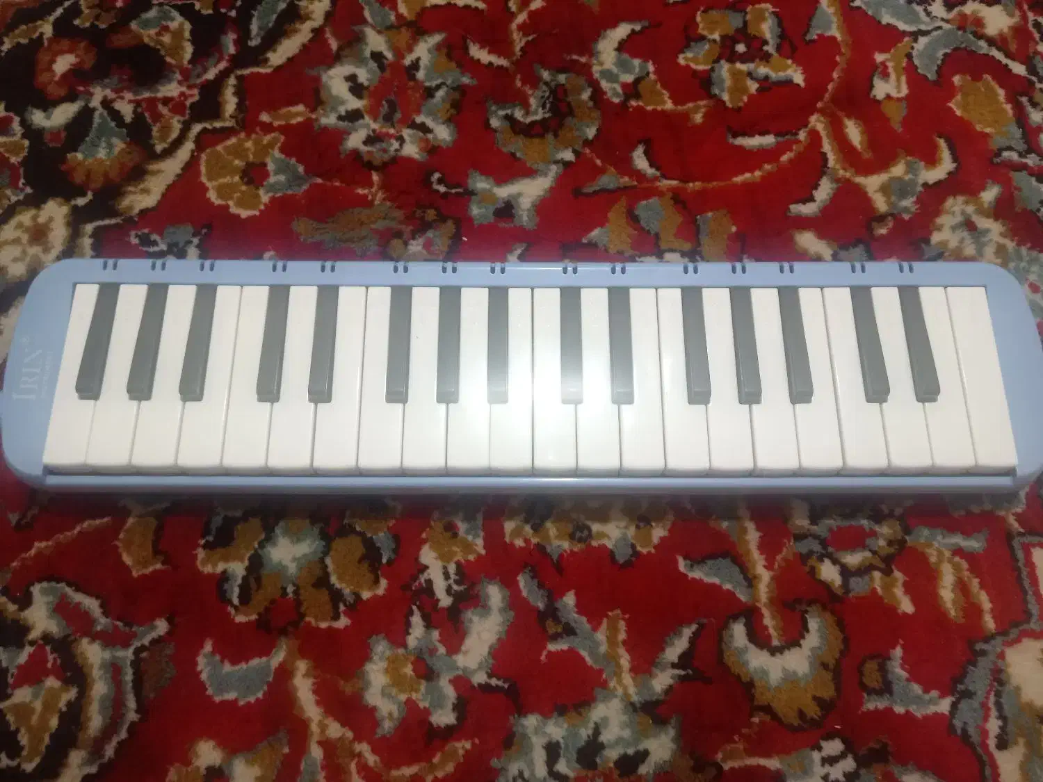 ساز مدل madelnchlnaسالم نو|سازهای بادی|محمدیه-قزوین, |دیوار