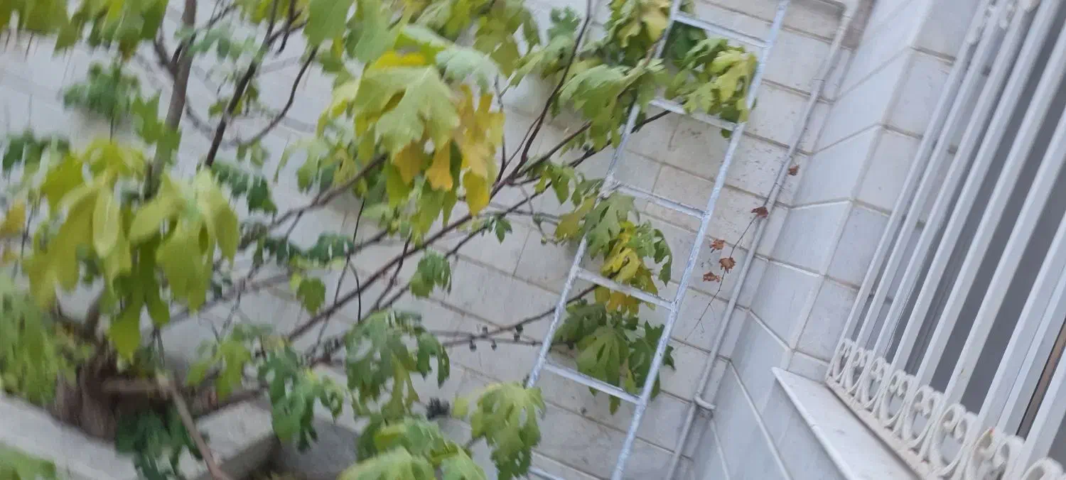 نردبان آهنی .پارو چوبی|ابزارآلات|مشهد, جانباز|دیوار