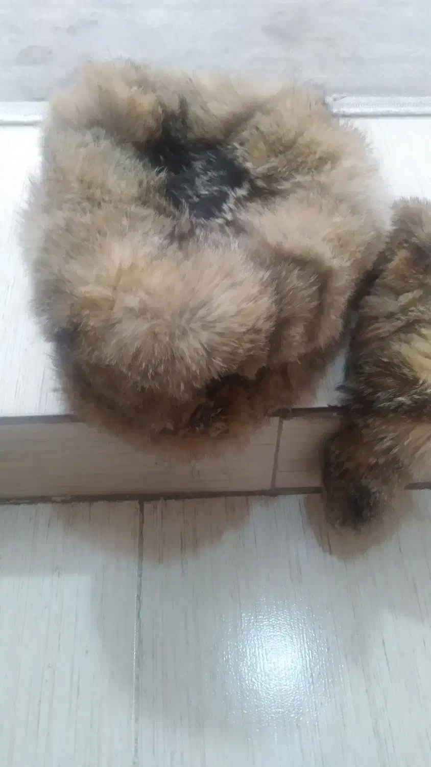 کلاه روس|لباس|تهران, شهید رجایی|دیوار