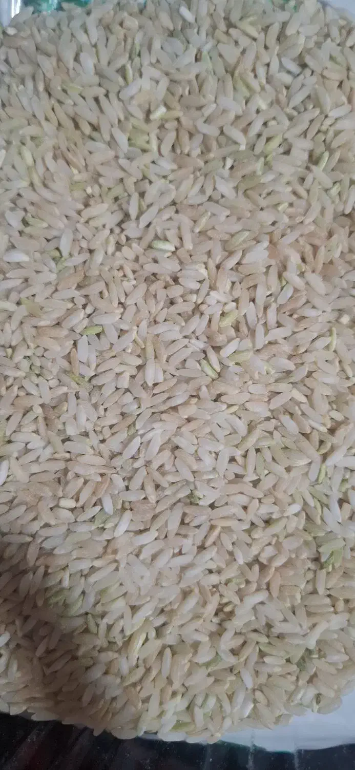 برنج لنجون درجه یک خوشبو خوشطعم و خوشپخت|خوردنی و آشامیدنی|یاسوج, |دیوار