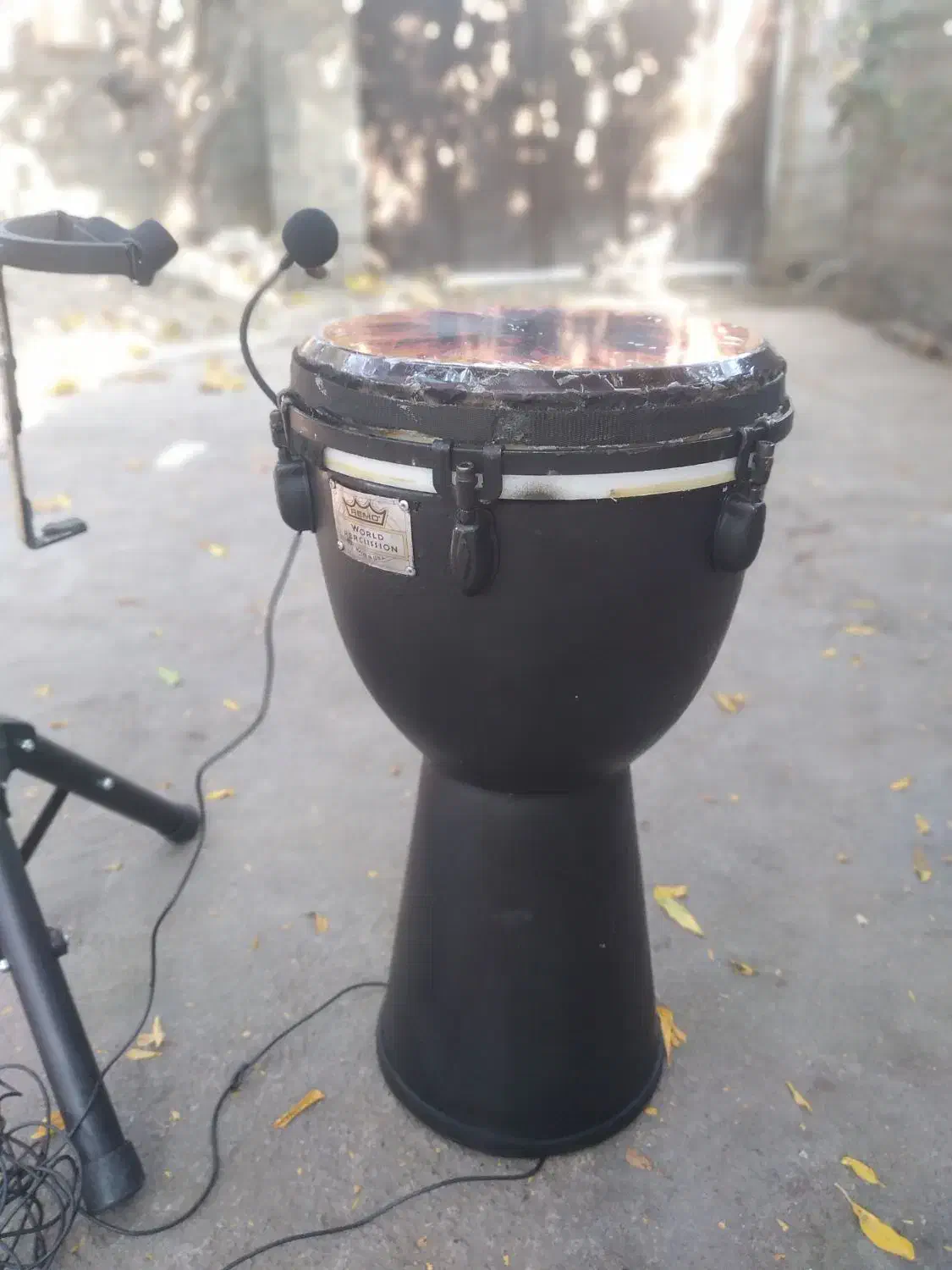 جیمبی سایز۱۲طرح رمو|درام و پرکاشن|ساری, |دیوار