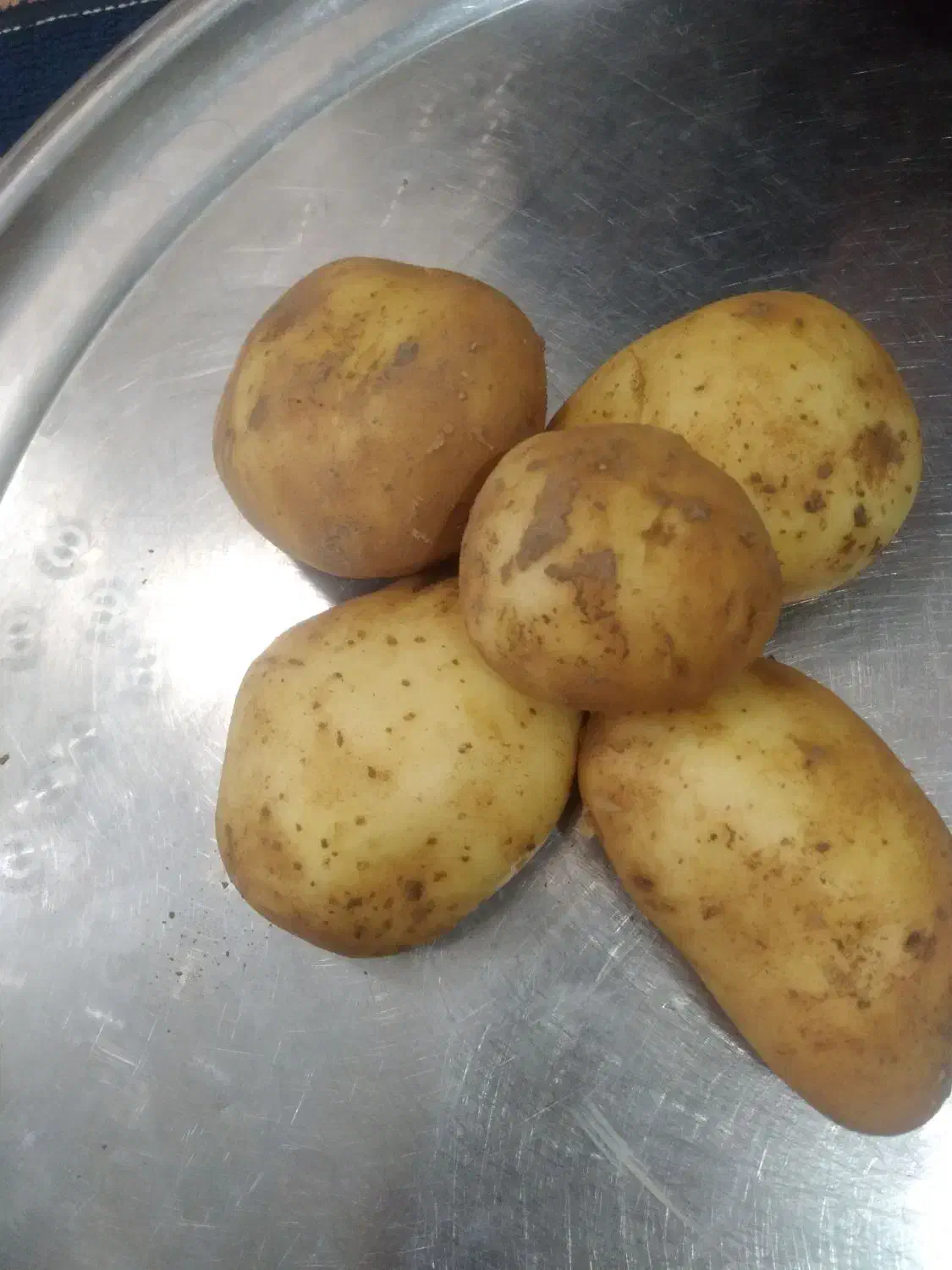 سیب  زمینی جیلی|خوردنی و آشامیدنی|قیدار, |دیوار