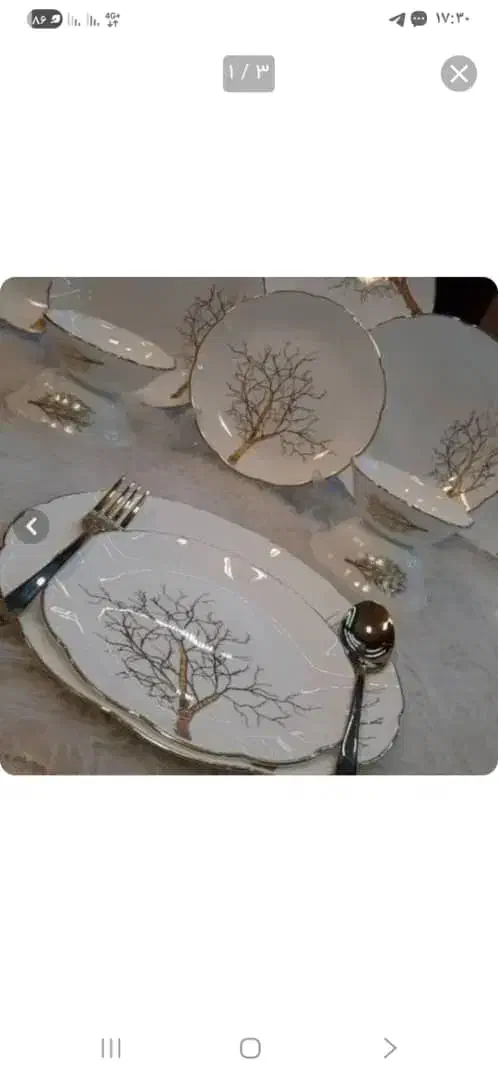 ارکوپال ۲۶ پارچه لب طلا و ساده اگه خواستید سایت|ظروف سرو و پذیرایی|ری, ملک‌آباد|دیوار