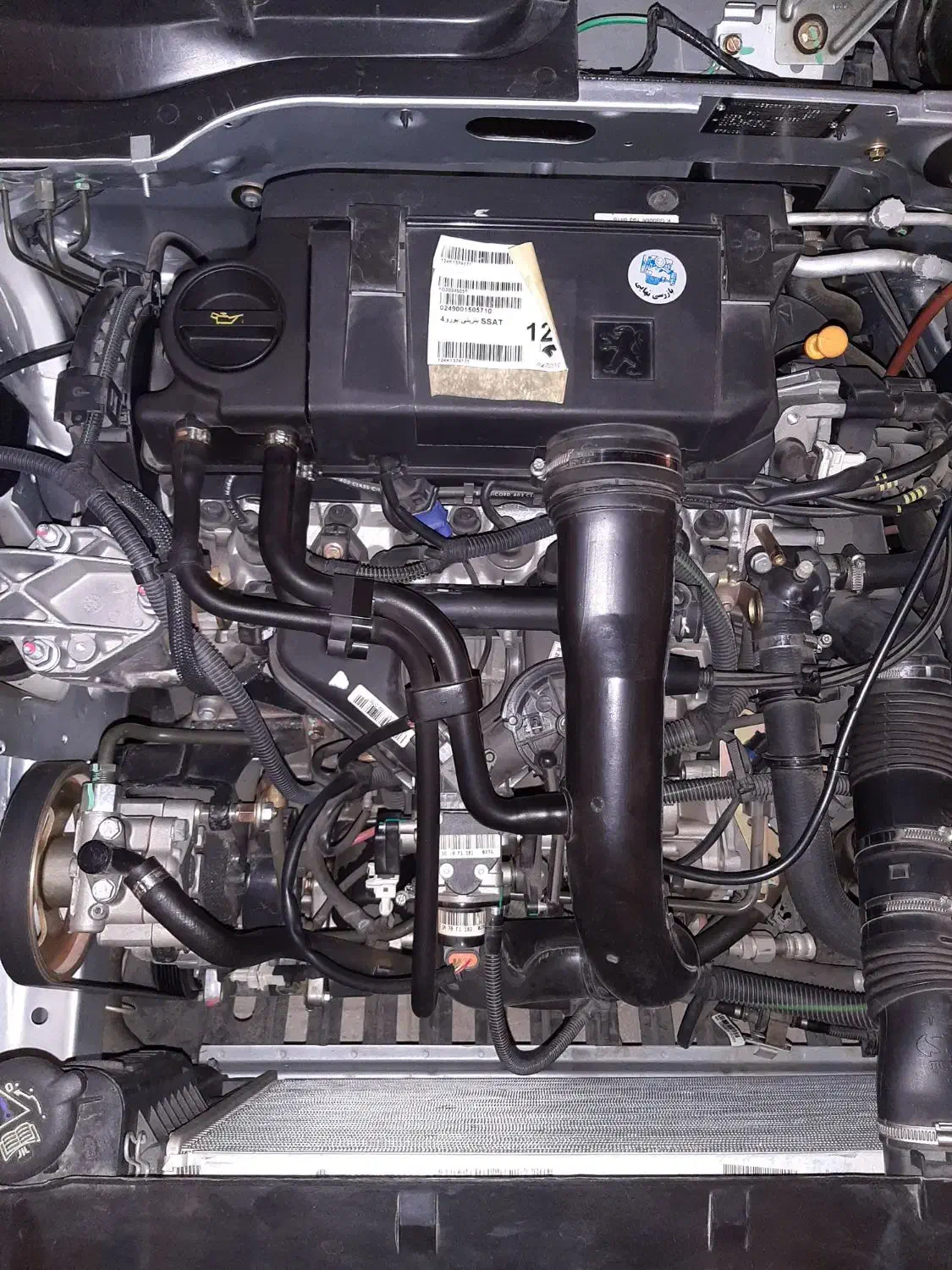 پژو 405 کلکسیونی ، صفر و خشک|خودرو سواری و وانت|تهران, استاد معین|دیوار