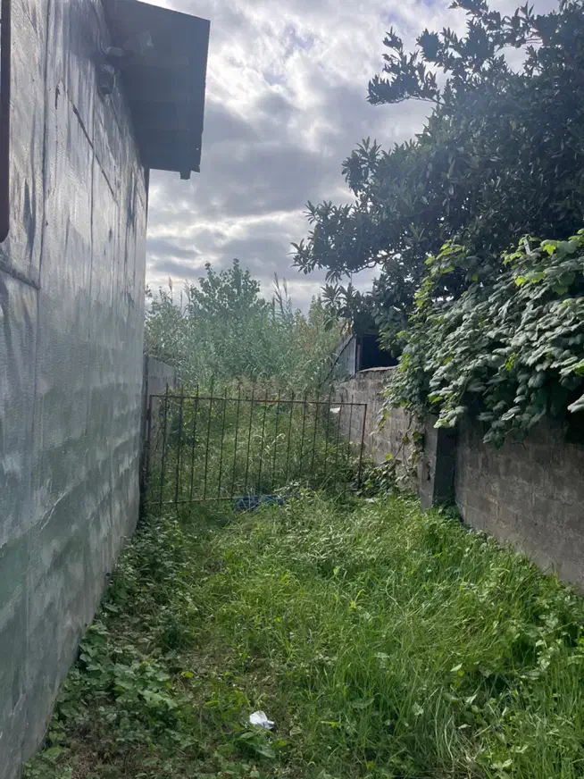 فروش زمین ۷۵۰ متری|فروش زمین و ملک کلنگی|خشکبیجار, |دیوار