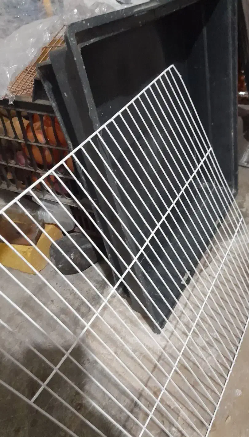 قفس بزرگ|پرنده|رشت, ولکس|دیوار