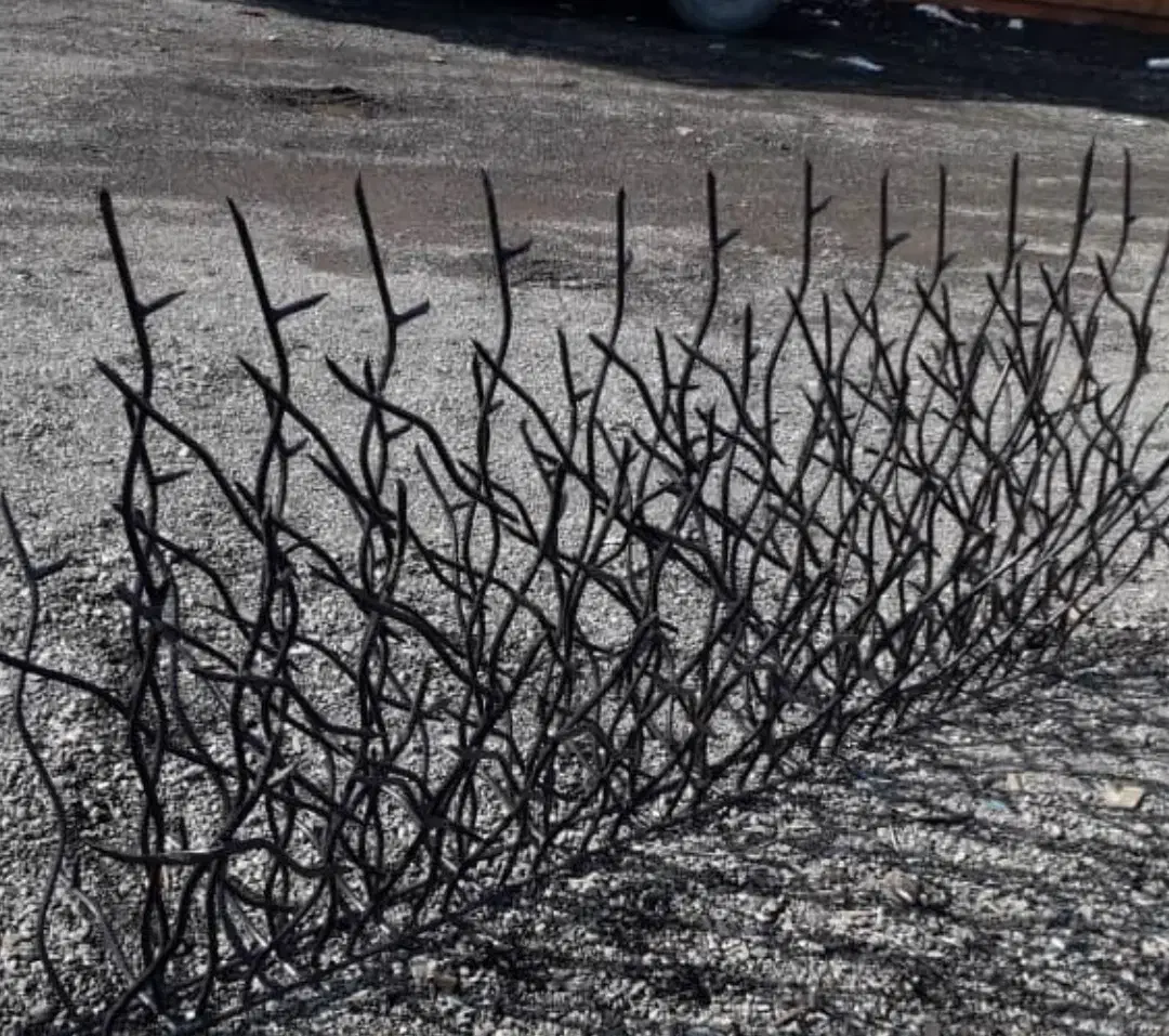 حفاظ تولید حفاظ شاخ گوزنی|عمدهفروشی|کرج, کارخانه قند|دیوار