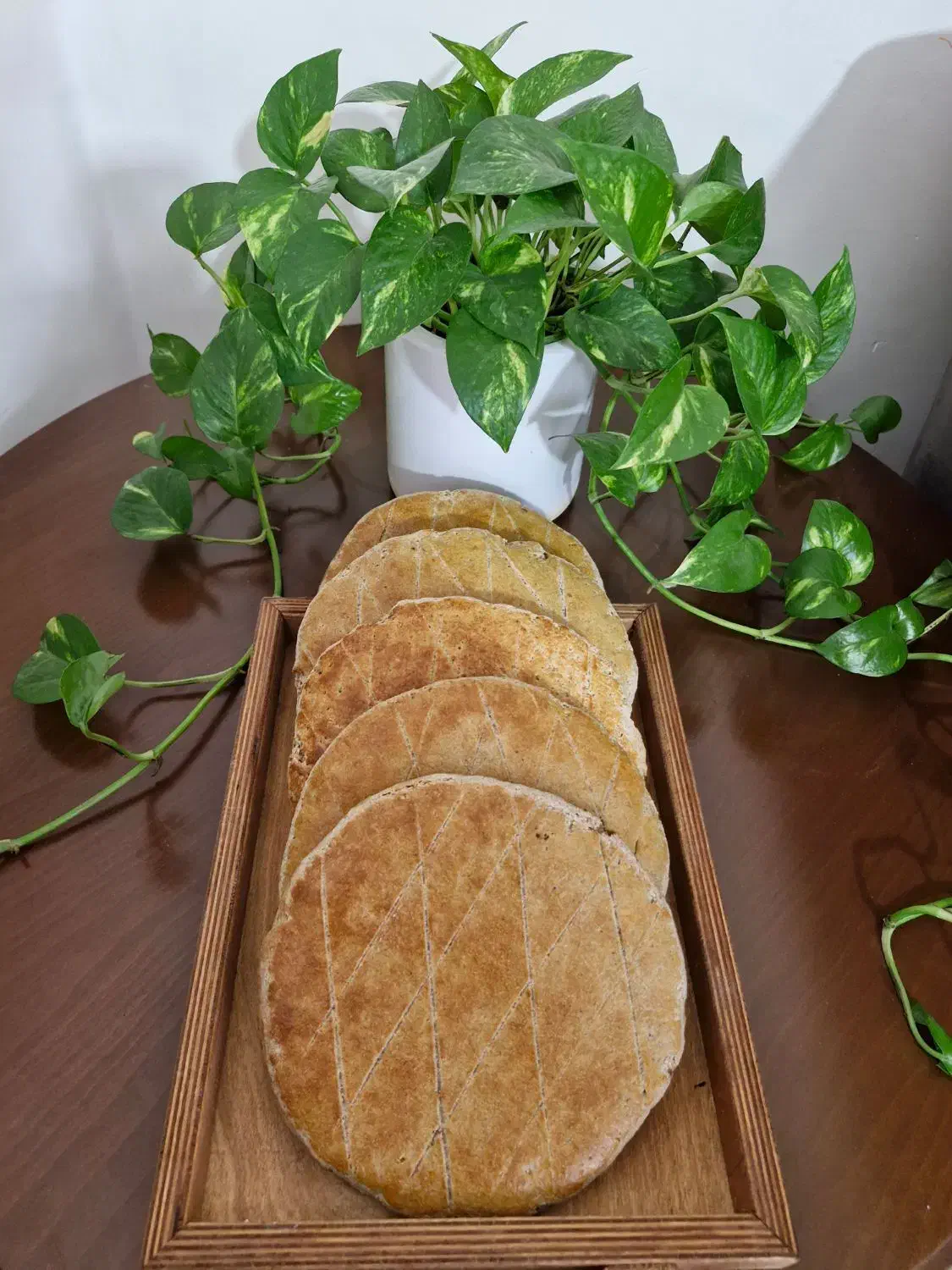 ناَن جو رژیمی و اّب نبات شیری|لوازم جانبی حیوانات|گرگان, |دیوار