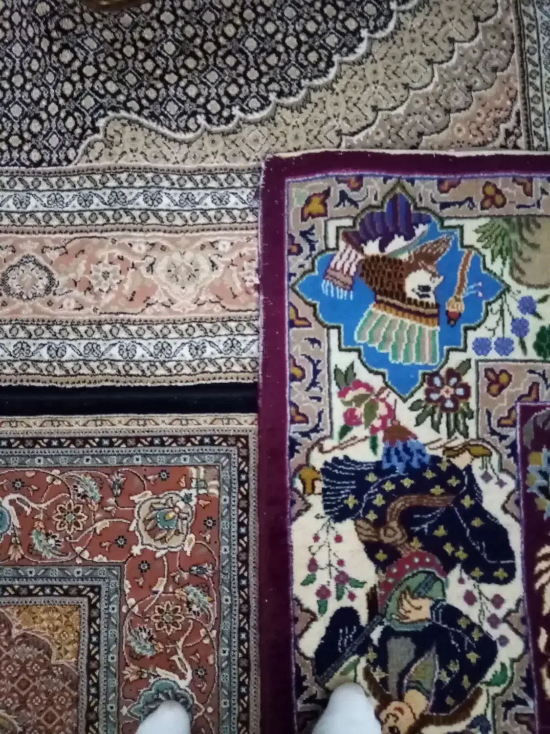 فرش دستبافت ۱۲متری|فرش|اردبیل, |دیوار