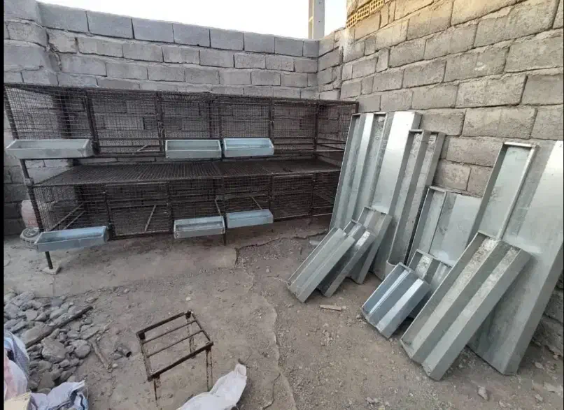 تجهیزات/تولید و پرورش/مرغ/جوجه/ انواع پرنده|لوازم جانبی حیوانات|کرمان, |دیوار