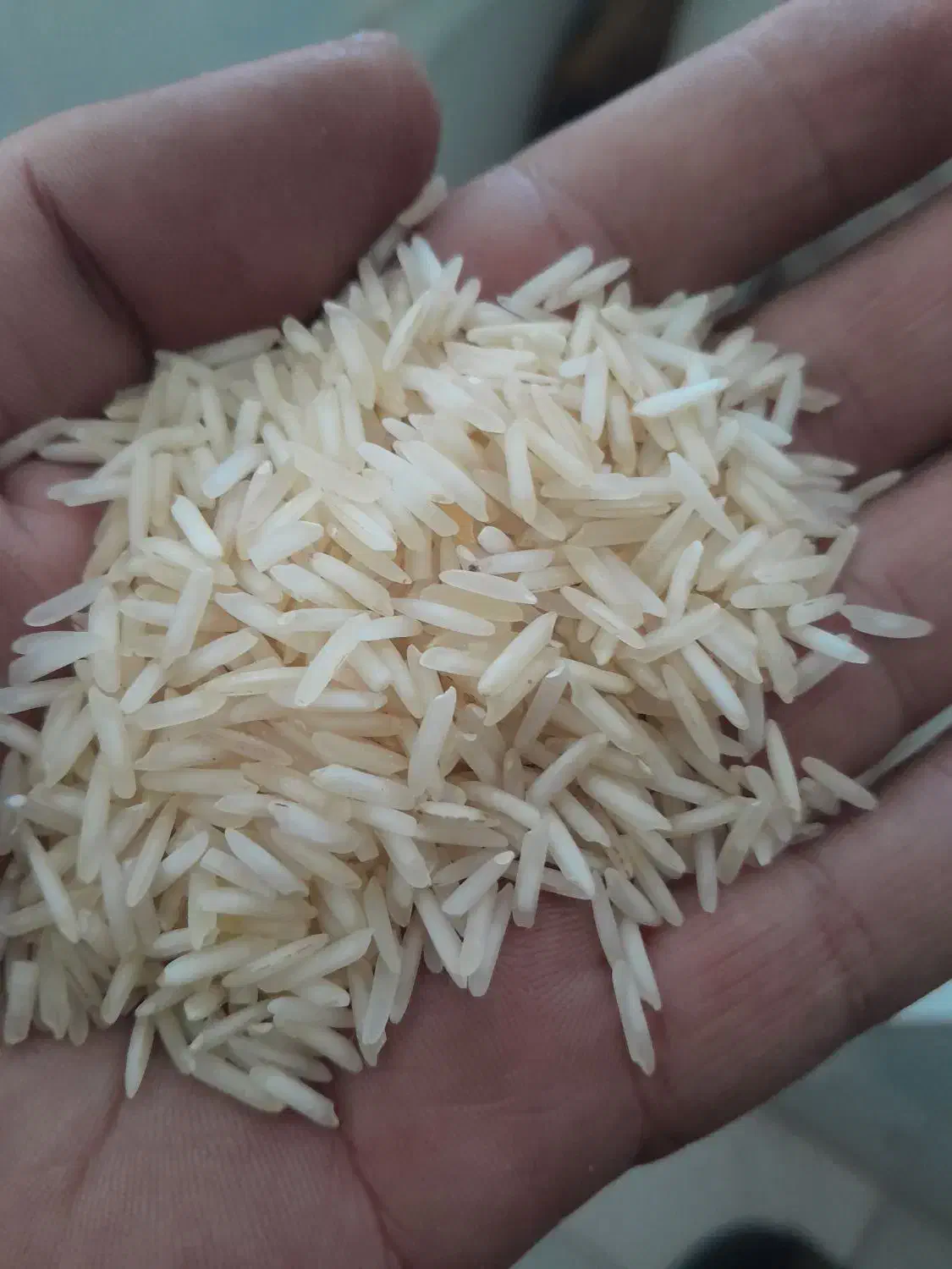 برنج پاکستانی|خوردنی و آشامیدنی|مشهد, شهید بصیر|دیوار