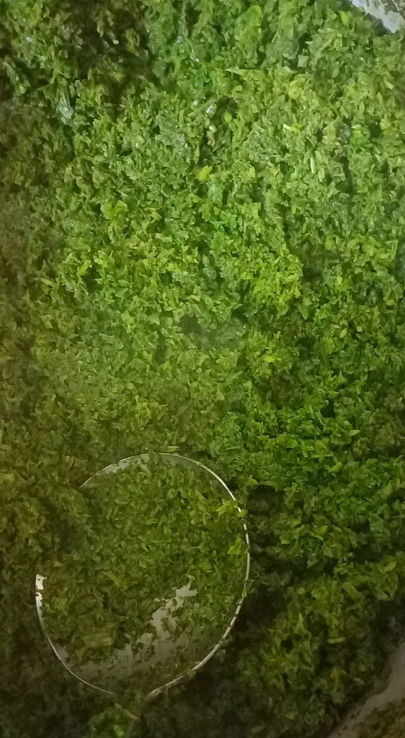 قرمه.نعنا.شوید.خورد شده.سرخ شده|خوردنی و آشامیدنی|قرچک, مهدیه|دیوار