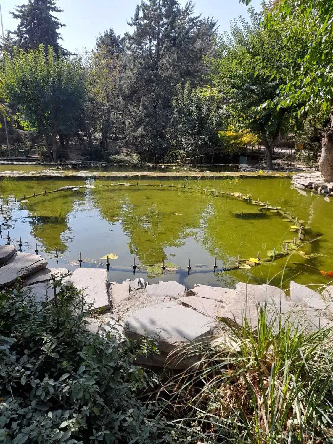 راهنمای|خدمات نظافت|پرند, فاز ۵|دیوار