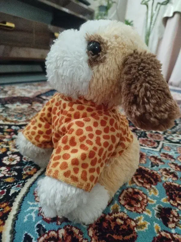 عروسک نو|اسباببازی بچه|ساوه, |دیوار