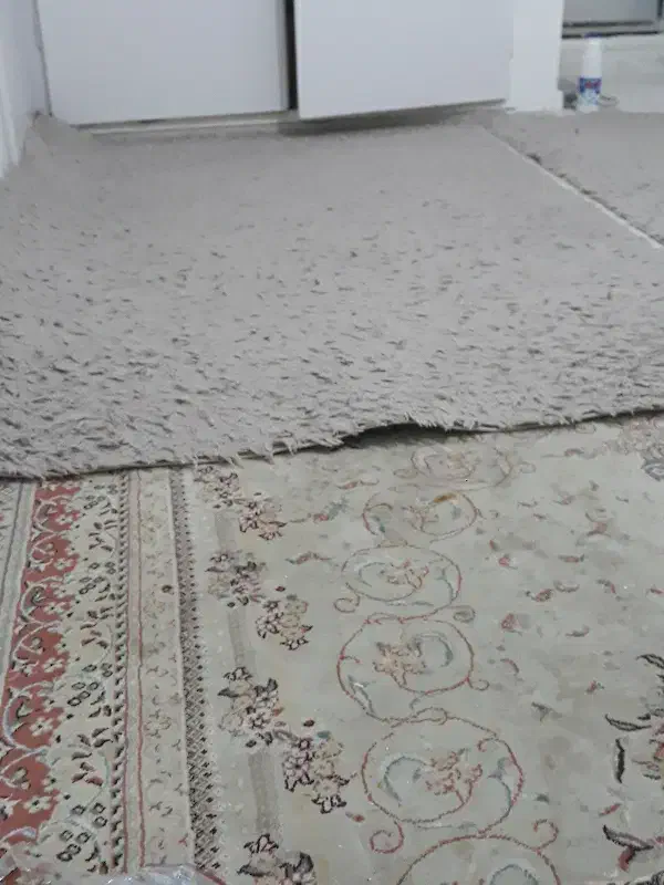 فرش ماگارونی|فرش|فردیس, شهرک هفده شهریور|دیوار