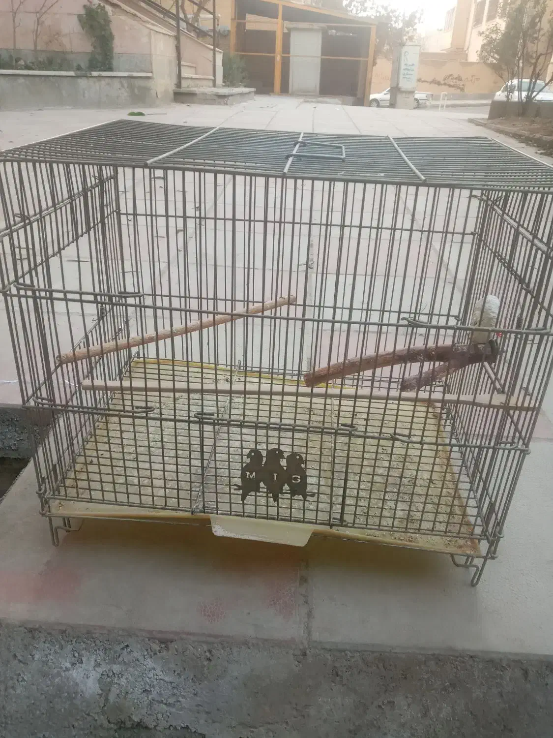 قفس|لوازم جانبی حیوانات|هشتگرد, فاز ۱ مهستان|دیوار