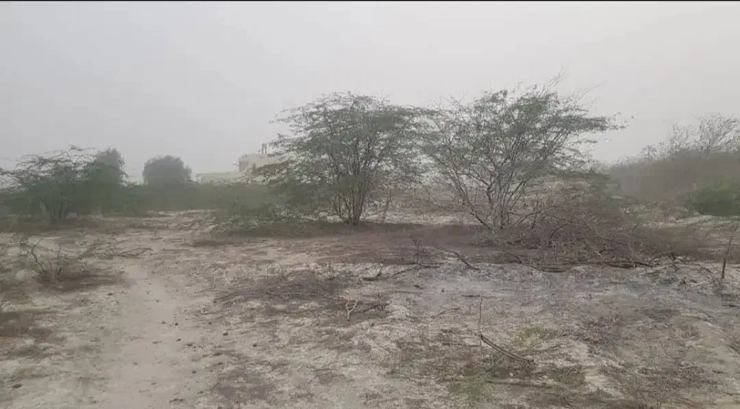 زمین روستایی|فروش زمین و ملک کلنگی|قشم, |دیوار